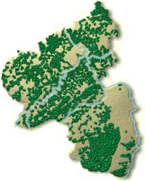 Waldverteilung in Rheinland-Pfalz Grafik: Landesforsten RLP