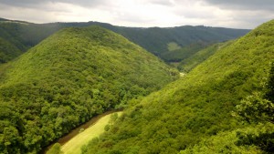 Bild bei Klick vergrößern Westerwaldsteig | Etappe Waldbreitbach – Strauscheid Foto: Anke Klein