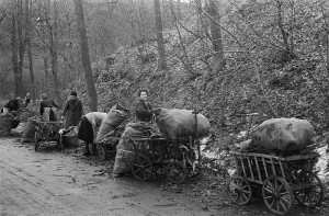 1946 | Selbstversorgung der Bevölkerung mit Brennstoffen. Frauen beladen Handwagen mit Brennholz. Foto: Richard Peter Deutsche Fotothek, Bild / CC BY-SA Quelle: Wikimedia Commons