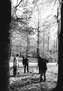Bild bei Klick vergrößern 1950er | Sammeln von Bucheckern Damit in Jahren mit schlechterer Tracht der Natur geholfen werden kann, muss eine Reserve an Saatgut angelegt werden. In der Nachkriegszeit wurde diese Arbeit jedoch stark beeinträchtigt. Aus den Eckern wurde Wurst und Kaffeeersatz hergestellt und das Bucheckernöl fand sowohl beim Kochen als auch als Lampenöl Verwendung. Der auspresste Ölkuchen wurde an die Tiere verfüttert. Um an Saatgut zu kommen, musste sich die Forstverwaltung neue Ideen einfallen lassen. Foto: Thomas Lehmann Bundesarchiv, Bild 183-1983-1108-300 / CC BY-SA Quelle: Wikimedia Commons