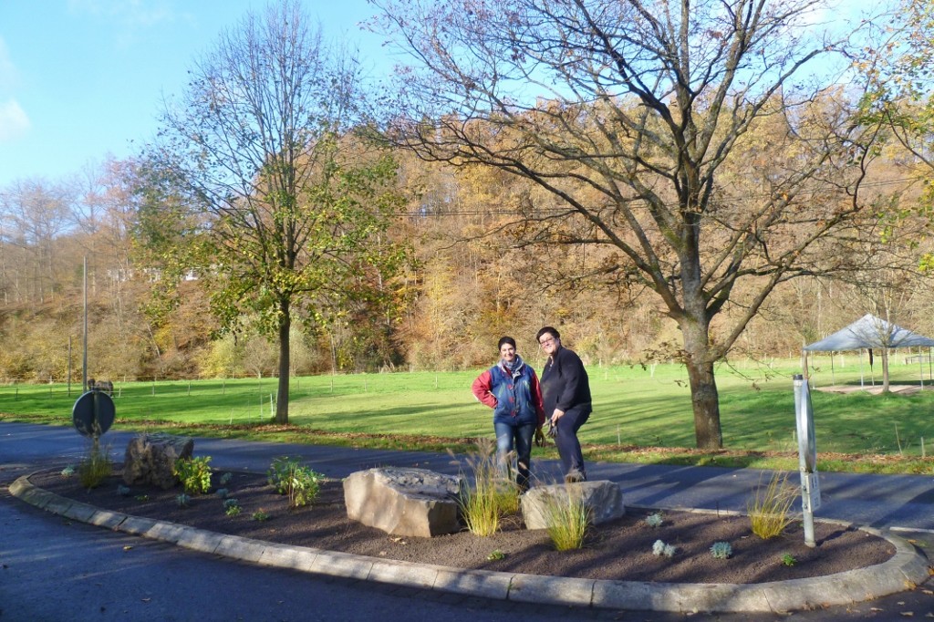 Die Verkehrsinsel an der Ortseinfahrt Seelbach wird neu bepflanzt