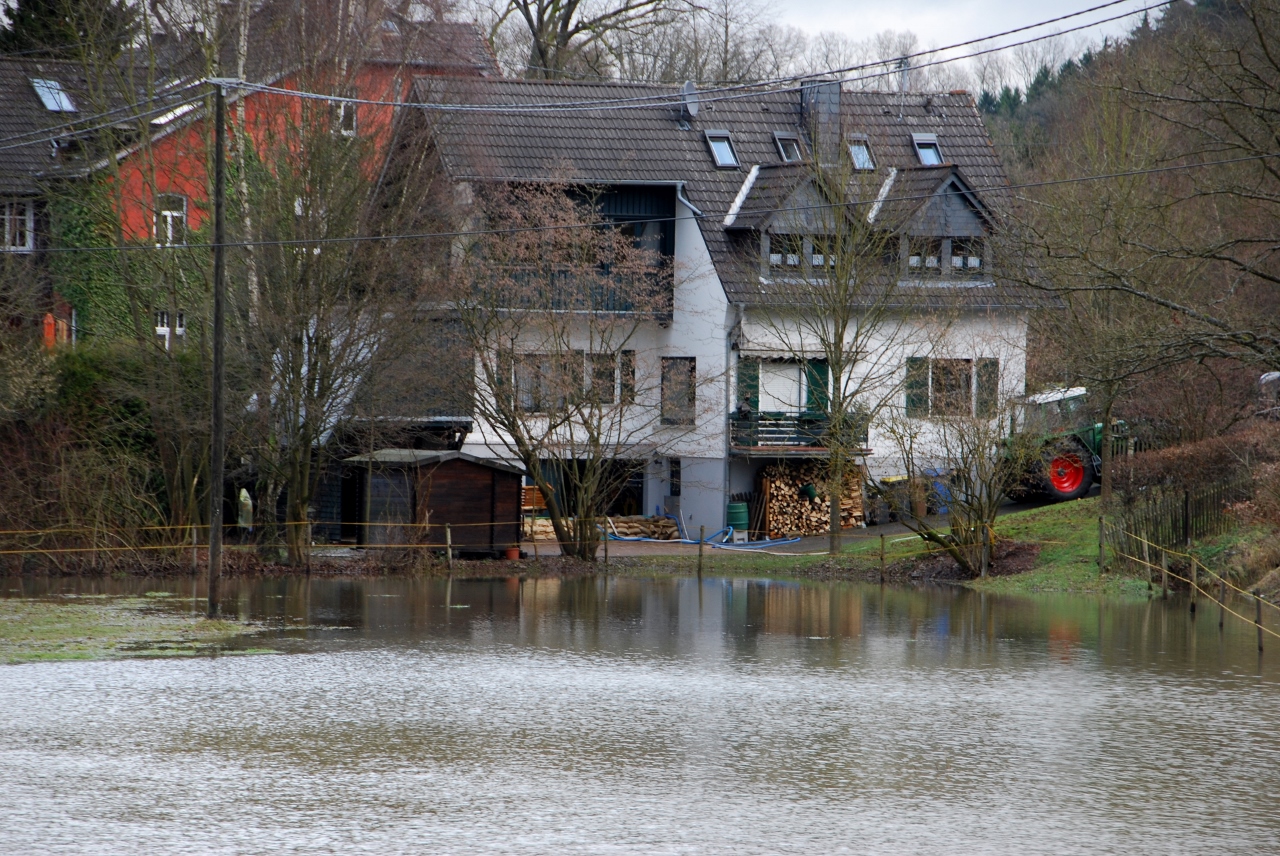 01.2011 | Hochwasser an der K9 | Foto: Wilfried Klein