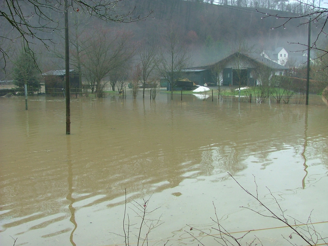 01.2011 | Hochwasser bei der Flammersfelder Brücke | Foto: Hermann Nick