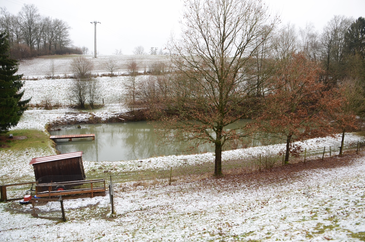 12.2012 | Der Schnee hat alles Graue hauchdünn zugedeckt. | Foto: Wilfried Klein