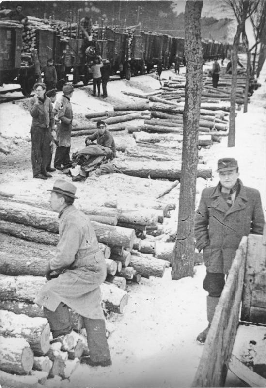 1948-Verladung von Holz am Bahnhof Rheinsberg-Bundesarchiv-wikimedia commons