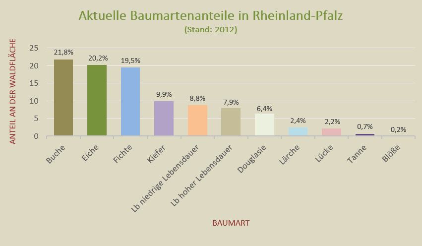 Baumartenanteile in Rheinland-Pfalz | Quelle: Landesforsten RLP