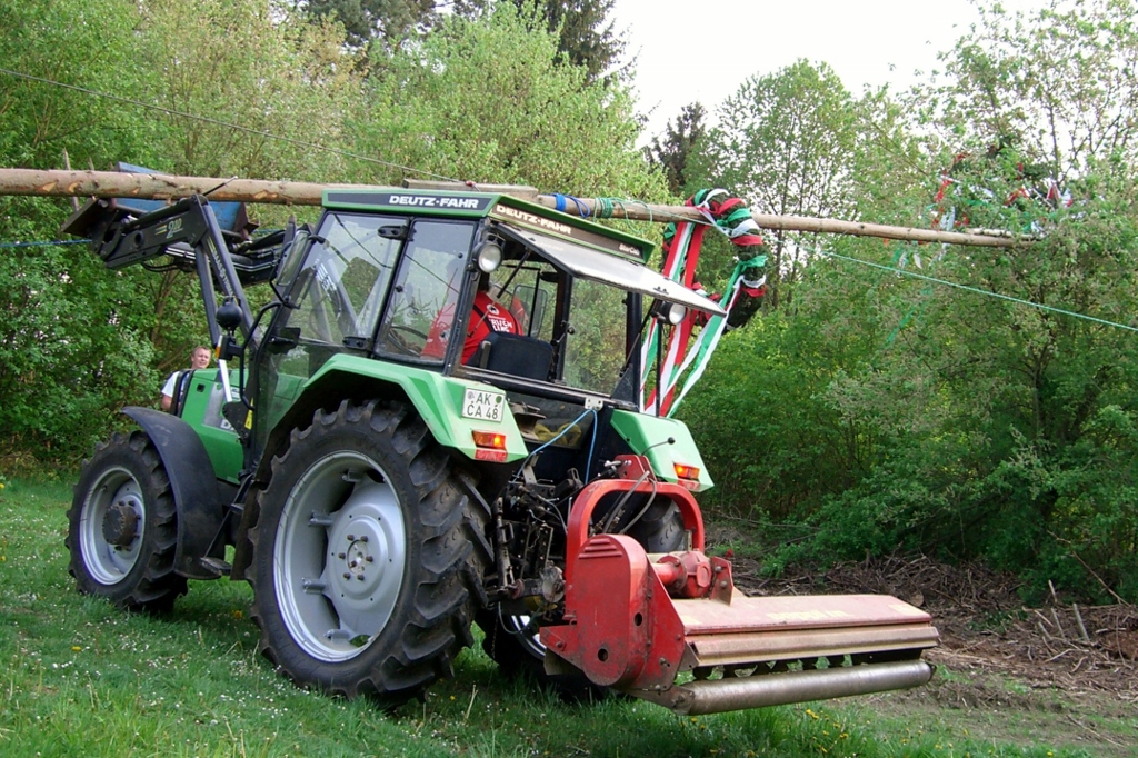 Der Maibaum wird mit Hilfe eines Traktors in Position gebracht