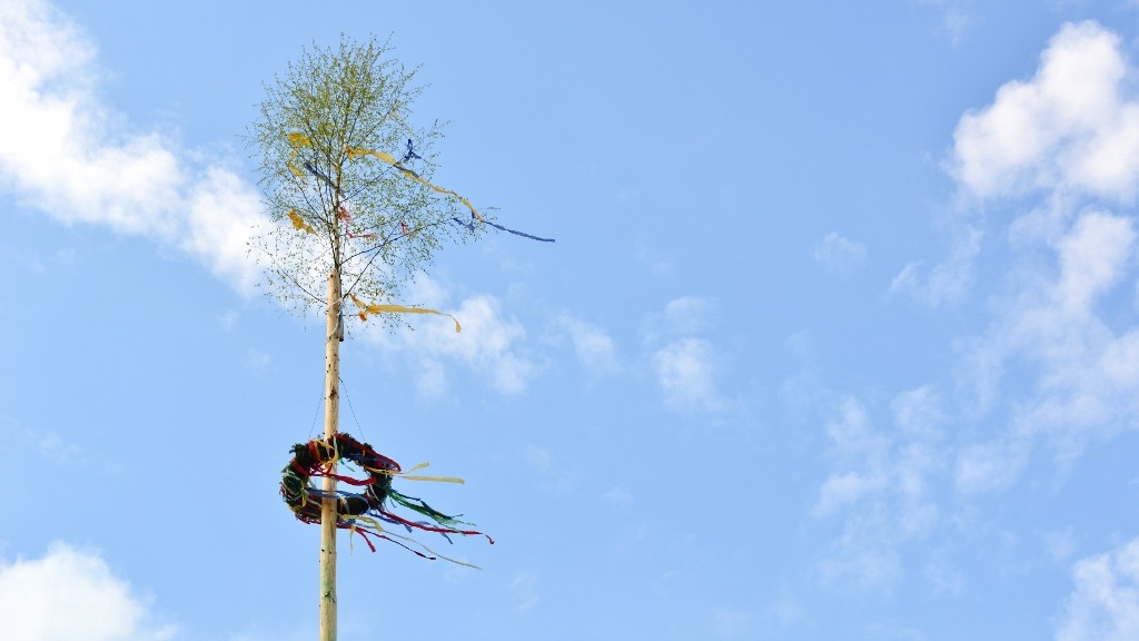 Maifeier 2017 | Die Spitze des Maibaums | Foto: Wilfried Klein