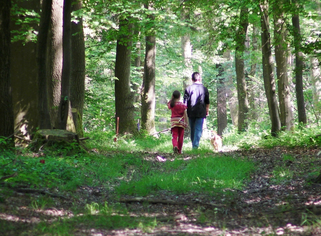 Spaziergänger im Seelbacher Interessentenwald | Foto: Yvette Schäck