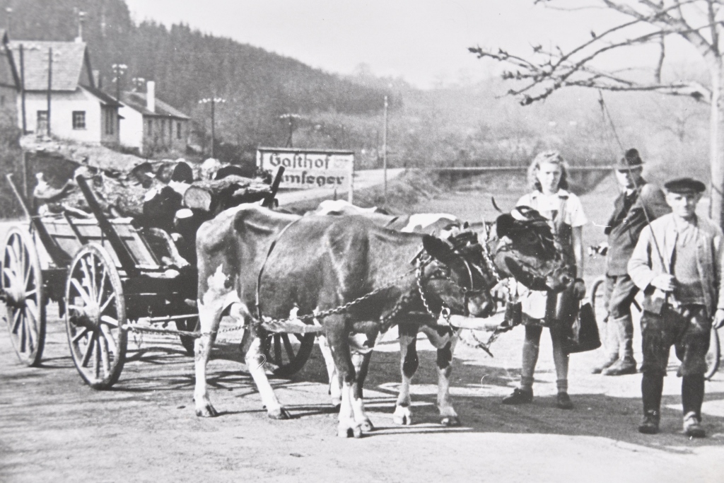 Historische Aufnahme 1942 Holztransport