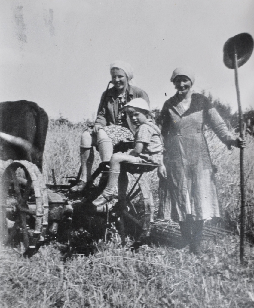 Historische Aufnahme 1946 Mit der Mähmaschine im Stroh