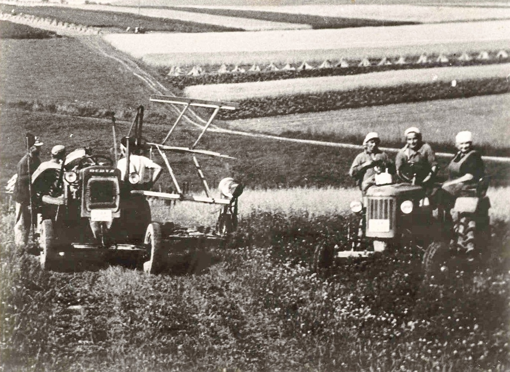 Historische Aufnahme 1956 Getreideernte auf dem Hahn