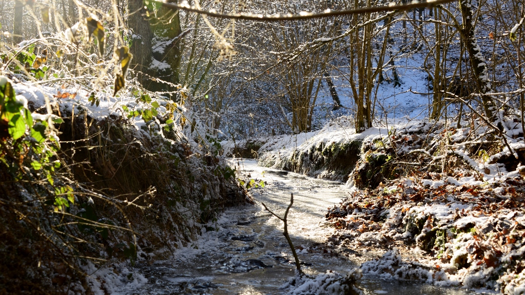 Bach in winterlichem Wald
