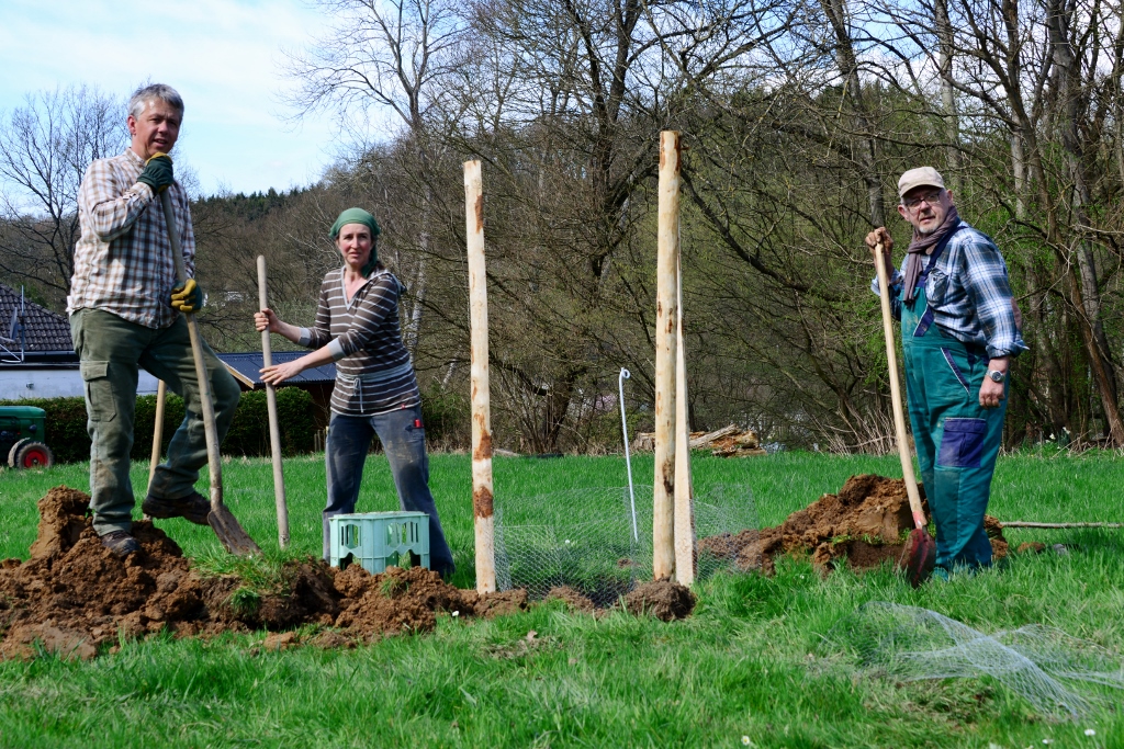 2018, 3. Obstbaumpflanzung | Freiwillige aus Seelbach und Bettgenhausen bei der dritten Obstbaumpflanzaktion in der Ortsgemeinde | Foto: Yvette Schäck