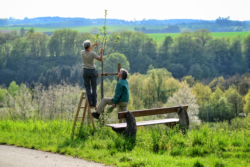  Mitglieder der Obstbaum-Initiative OBSTIS beim Erziehungsschnitt eines Apfelbaumes vor traumhafter Kulisse | Foto: Yvette Schäck