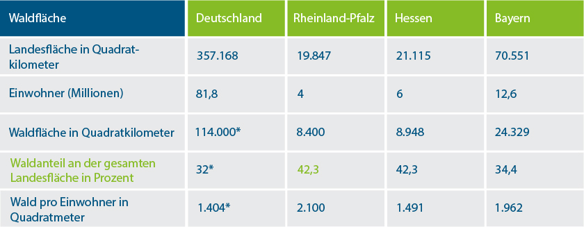 Bundeswaldinventur | Quelle: Landesforsten RLP