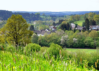 Blick auf Seelbach und Bettgenhausen im Sommer | Foto: Burkhard Schäck