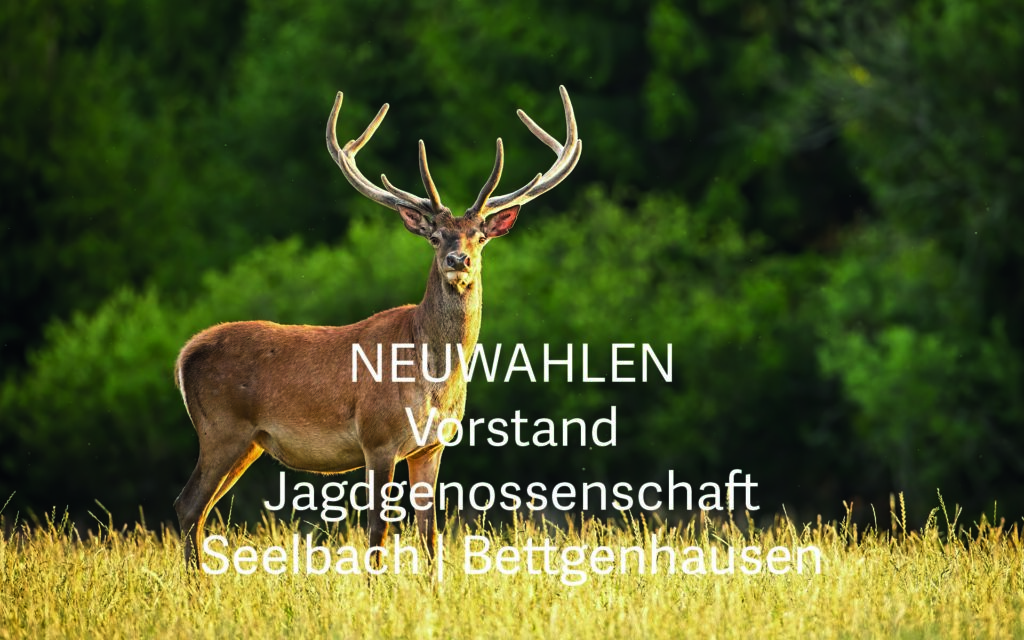 Reh auf Feld