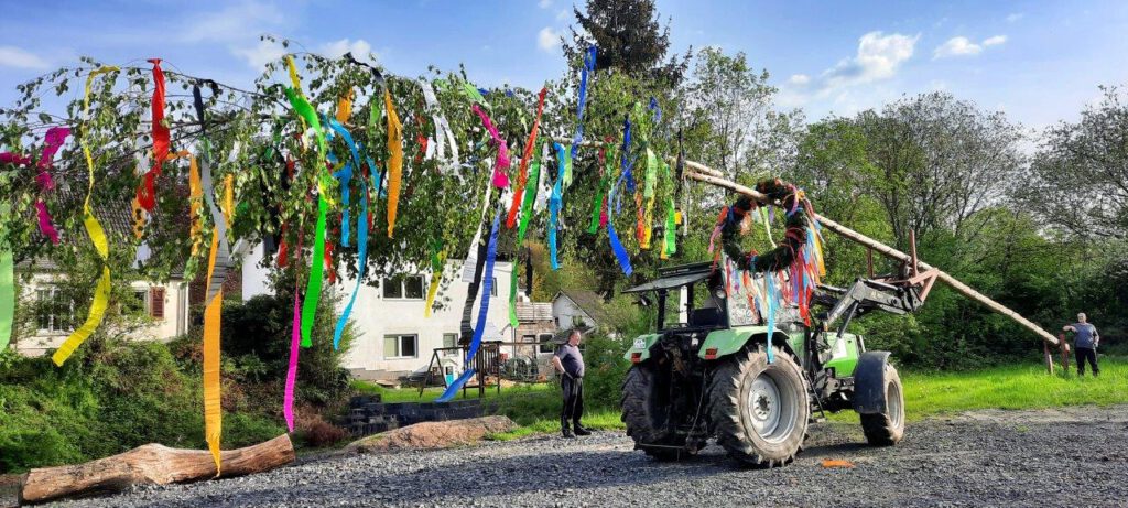 Maifeier 2024 | Mit dem Traktor wird der diesjährige Maibaum aufgestellt. | Foto: Anke Klein