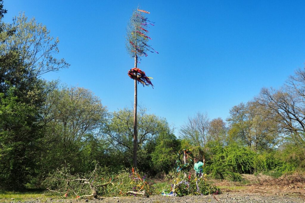 Maifeier 2026 | Maibaum bestens verteidigt und stolze Trophäen gesichert: Drei Birkenspitzen und einen Maikranz war die Beute der Dorfjugend! | Foto: Yvette Schäck
